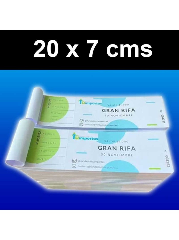 Talonarios Rifa o Entradas (100 Unidades)
