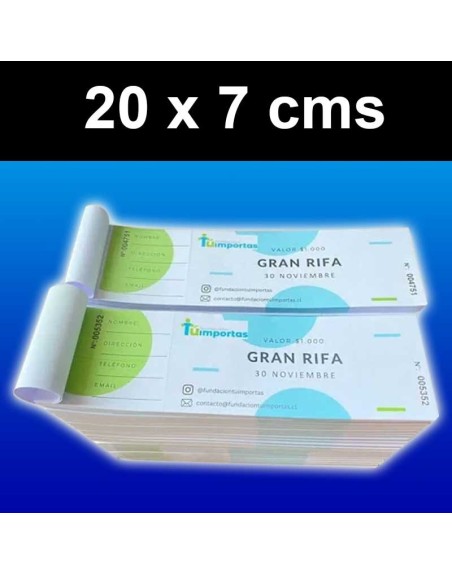 Talonarios Rifa o Entradas (100 Unidades)