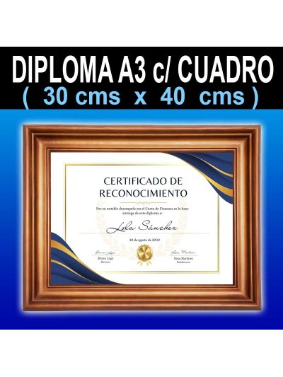 Diploma Tamaño 30x40 cms + Cuadro
