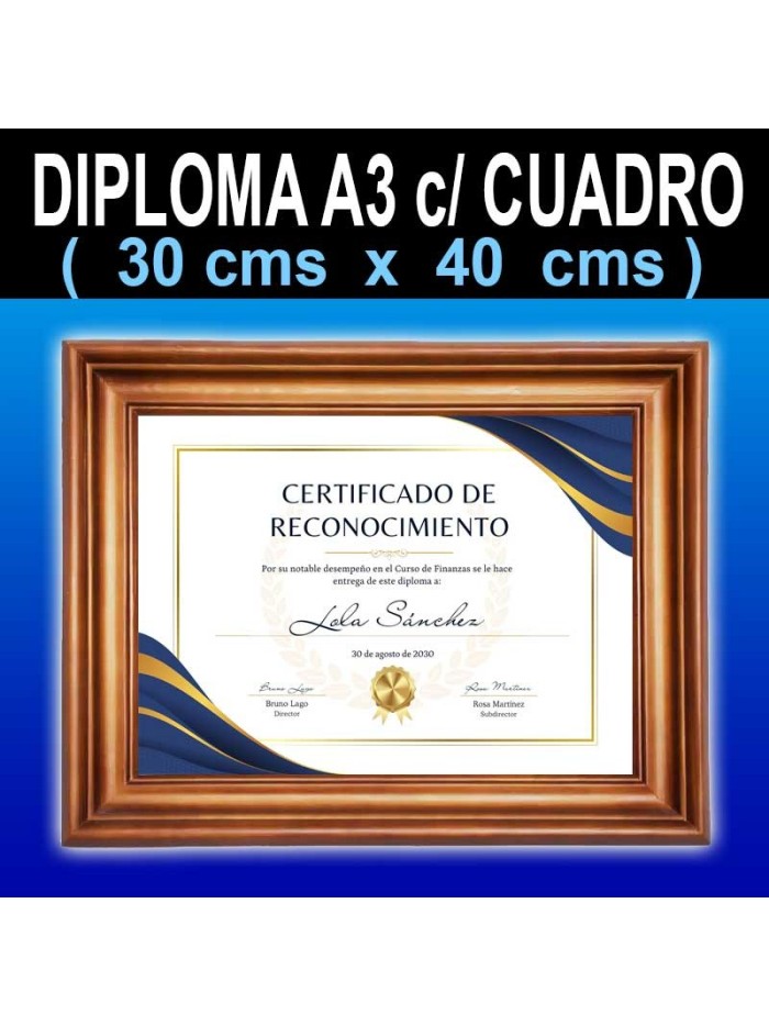 Diploma Tamaño 30x40 cms + Cuadro