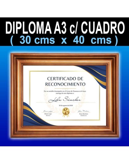 Diploma Tamaño 30x40 cms + Cuadro