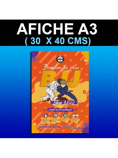 Afiche Tamaño A3 30 x 40 cms)