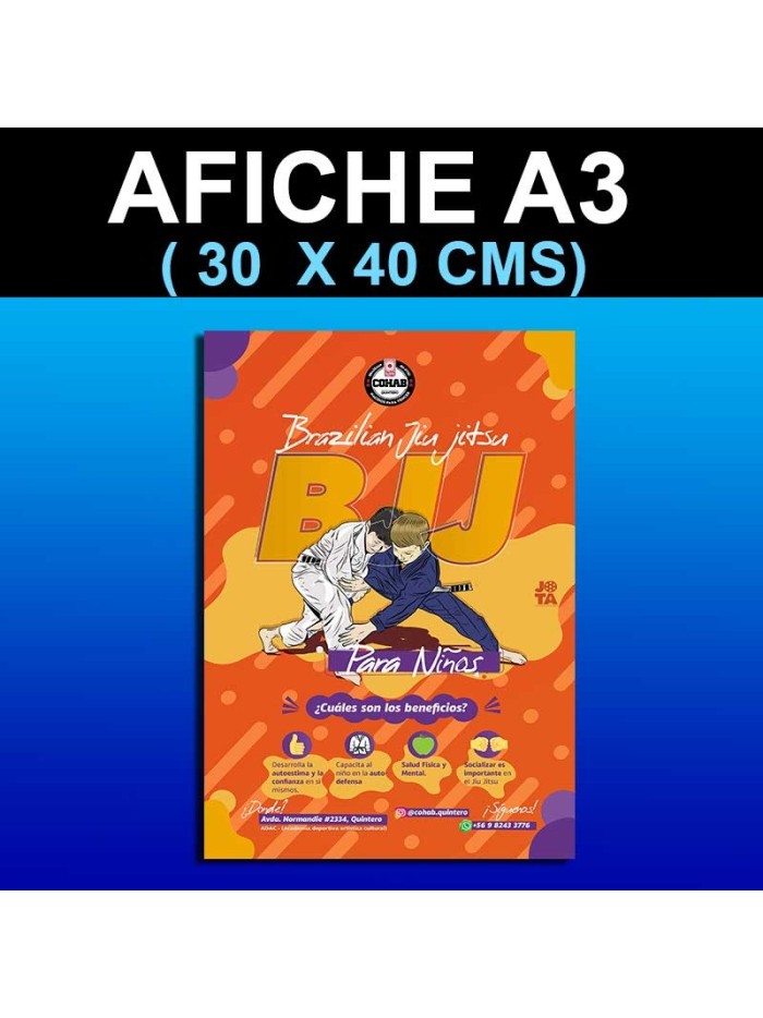 Afiche Tamaño A3 30 x 40 cms)