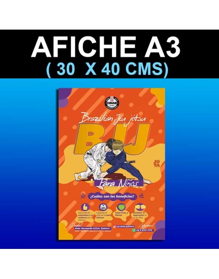 Afiche Tamaño A3 30 x 40 cms)